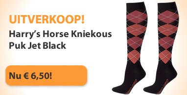 Ooteman Paardensport