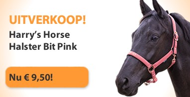 Ooteman Paardensport