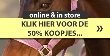 Ooteman Paardensport