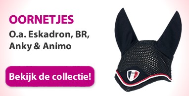 Ooteman Paardensport