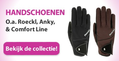 Ooteman Paardensport
