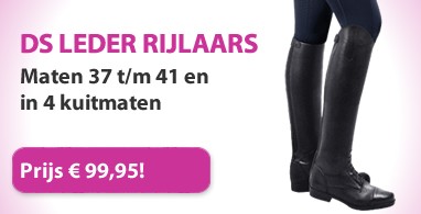 Ooteman Paardensport