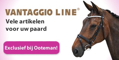 Ooteman Paardensport