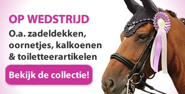 Ooteman Paardensport