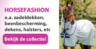 Ooteman Paardensport