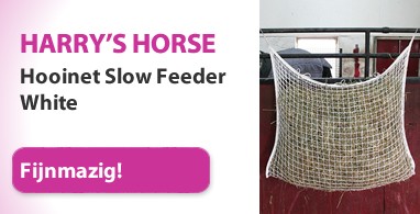 Ooteman Paardensport