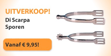 Ooteman Paardensport