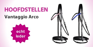 Ooteman Paardensport