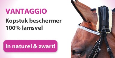 Ooteman Paardensport