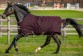 Ooteman Paardensport