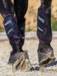 Ooteman Paardensport