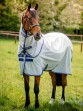 Ooteman Paardensport
