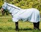 Ooteman Paardensport