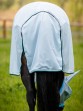 Ooteman Paardensport