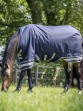Ooteman Paardensport