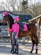 Ooteman Paardensport