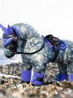 Ooteman Paardensport