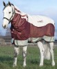 Ooteman Paardensport
