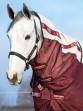 Ooteman Paardensport
