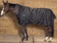 Ooteman Paardensport