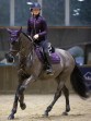 Ooteman Paardensport