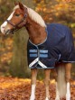 Ooteman Paardensport