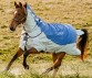 Ooteman Paardensport