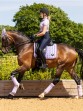 Ooteman Paardensport