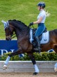 Ooteman Paardensport