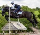 Ooteman Paardensport