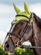 Ooteman Paardensport
