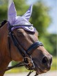 Ooteman Paardensport
