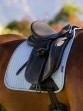 Ooteman Paardensport
