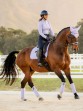 Ooteman Paardensport