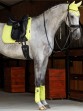 Ooteman Paardensport