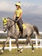 Ooteman Paardensport