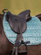 Ooteman Paardensport