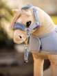 Ooteman Paardensport