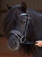 Ooteman Paardensport