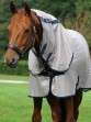 Ooteman Paardensport