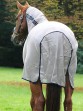 Ooteman Paardensport