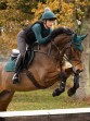 Ooteman Paardensport
