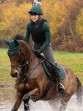 Ooteman Paardensport