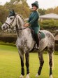 Ooteman Paardensport