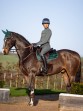 Ooteman Paardensport