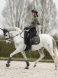 Ooteman Paardensport