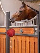 Ooteman Paardensport