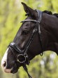 Ooteman Paardensport