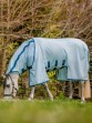 Ooteman Paardensport