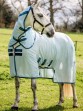Ooteman Paardensport